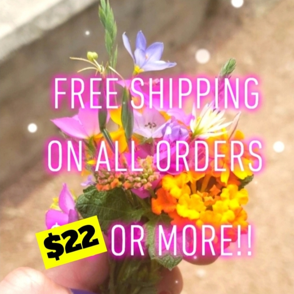 🆓️ FREE Shipping on All Orders 💰 $22 Or More!! 📦